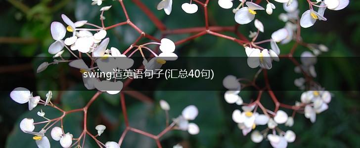 swing造英语句子(汇总40句),第1张