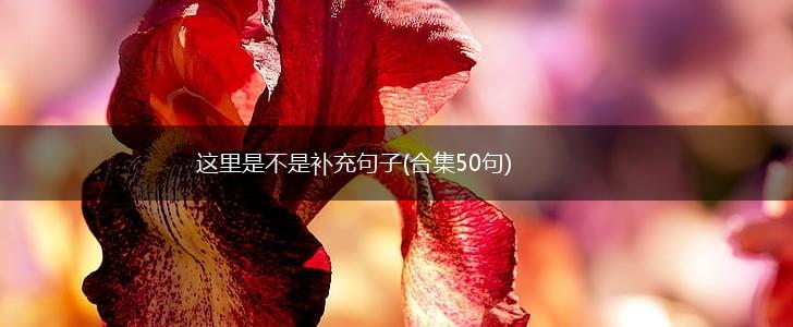 这里是不是补充句子(合集50句),第1张