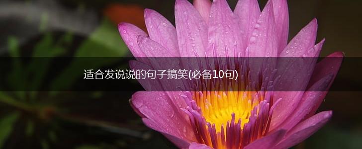 适合发说说的句子搞笑(必备10句),第1张