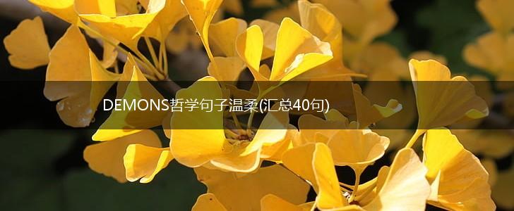 DEMONS哲学句子温柔(汇总40句),第1张