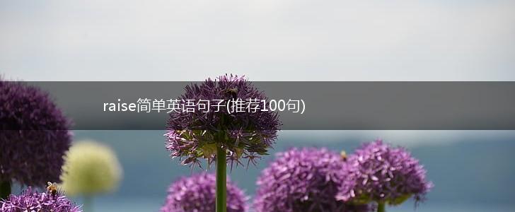 raise简单英语句子(推荐100句),第1张