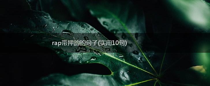 rap带押韵的句子(实用10句),第1张