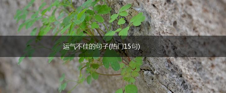 运气不佳的句子(热门15句),第1张