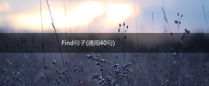 Find句子(通用40句),第1张