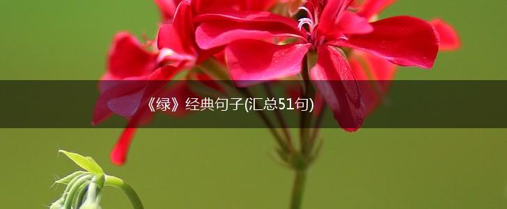 《绿》经典句子(汇总51句),第1张