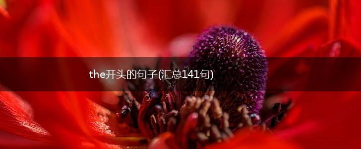 the开头的句子(汇总141句),第1张