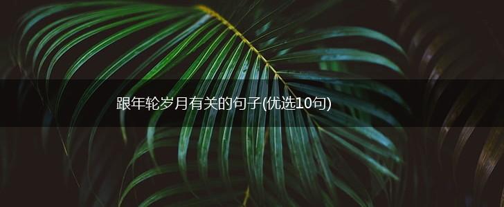 跟年轮岁月有关的句子(优选10句),第1张