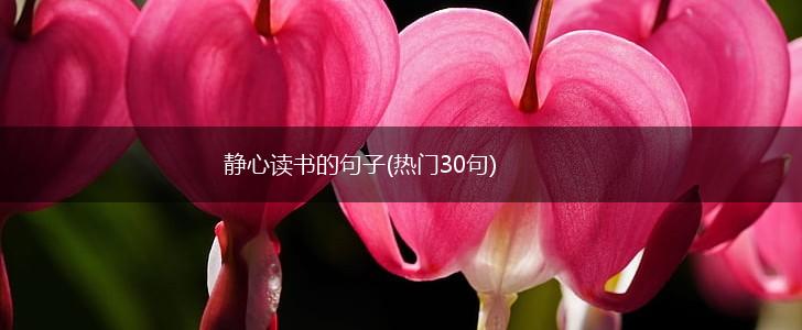 静心读书的句子(热门30句),第1张