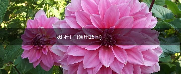 kt的句子(通用15句),第1张