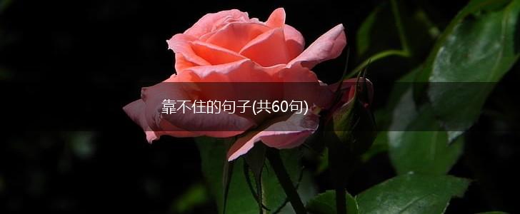 靠不住的句子(共60句),第1张