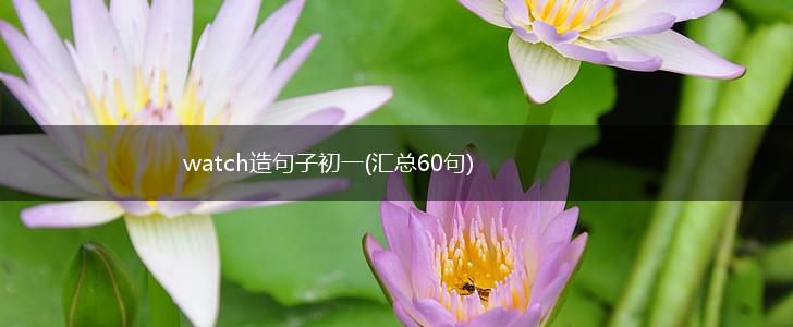 watch造句子初一(汇总60句),第1张