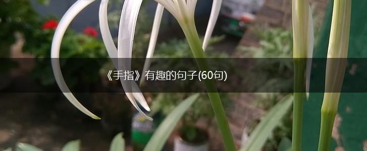 《手指》有趣的句子(60句),第1张