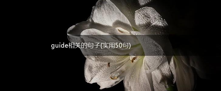 guide相关的句子(实用50句),第1张