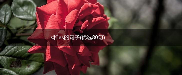 s和es的句子(优选80句),第1张