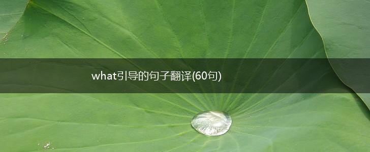 what引导的句子翻译(60句),第1张