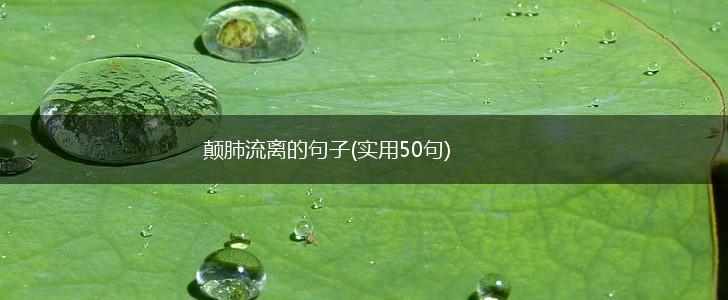 颠肺流离的句子(实用50句),第1张