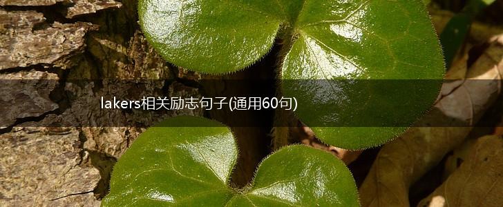 lakers相关励志句子(通用60句),第1张