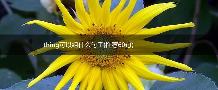 thing可以组什么句子(推荐60句),第1张