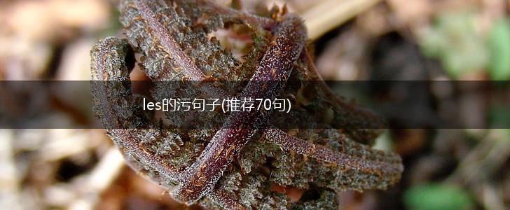 les的污句子(推荐70句),第1张