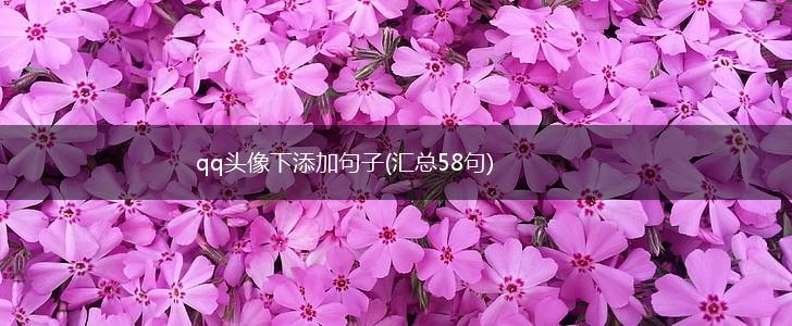 qq头像下添加句子(汇总58句),第1张