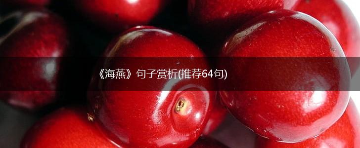 《海燕》句子赏析(推荐64句),第1张