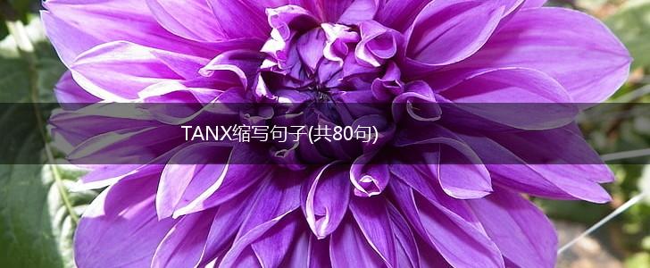 TANX缩写句子(共80句),第1张