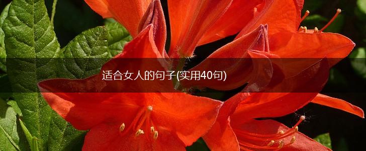 适合女人的句子(实用40句),第1张