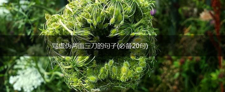骂虚伪两面三刀的句子(必备20句),第1张