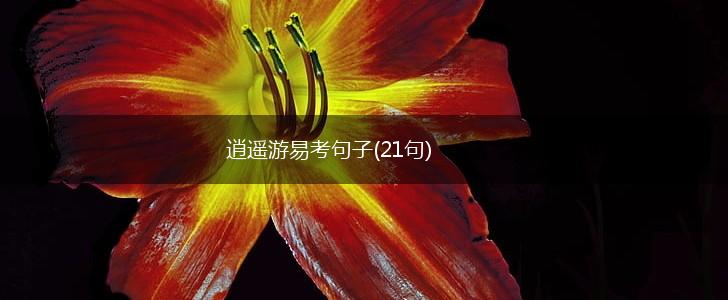 逍遥游易考句子(21句),第1张