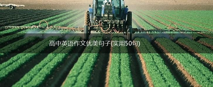 高中英语作文优美句子(实用50句),第1张