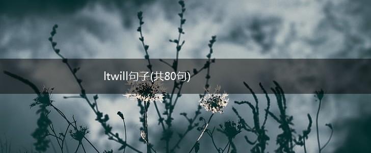 ltwill句子(共80句),第1张