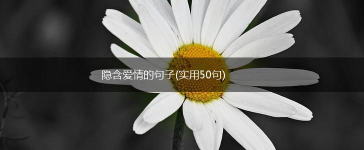 隐含爱情的句子(实用50句),第1张