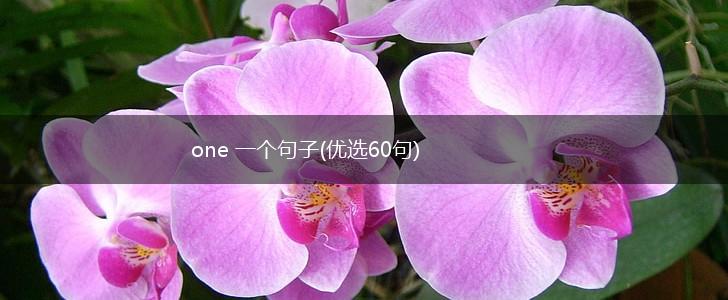 one 一个句子(优选60句),第1张