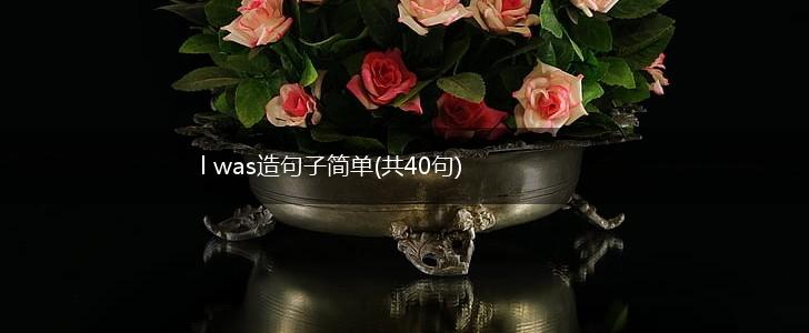 l was造句子简单(共40句),第1张