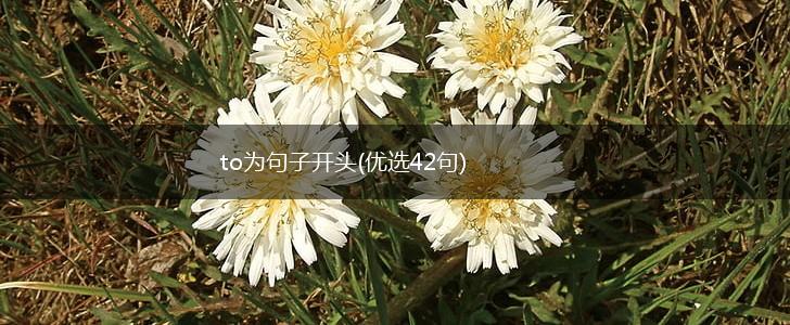 to为句子开头(优选42句),第1张