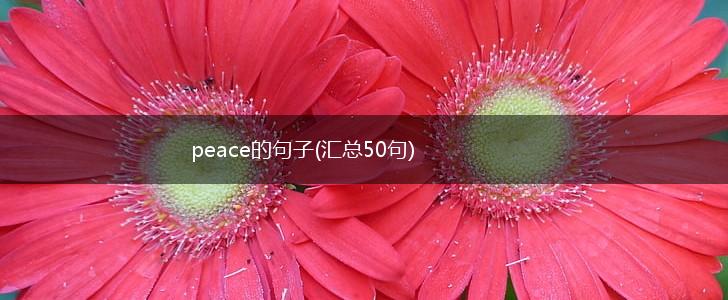 peace的句子(汇总50句),第1张