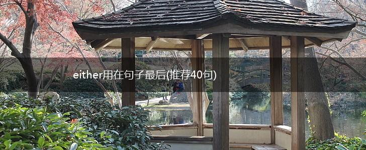 either用在句子最后(推荐40句),第1张
