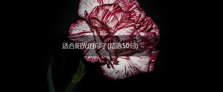适合阳光的句子(精选50句),第1张