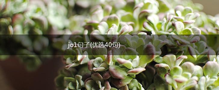 jo1句子(优选40句),第1张