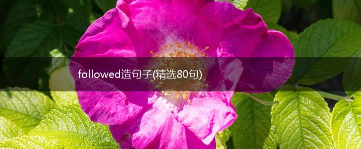 followed造句子(精选80句),第1张