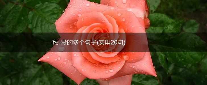 if引导的多个句子(实用20句),第1张