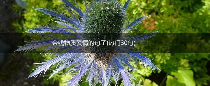 金钱物质爱情的句子(热门30句),第1张