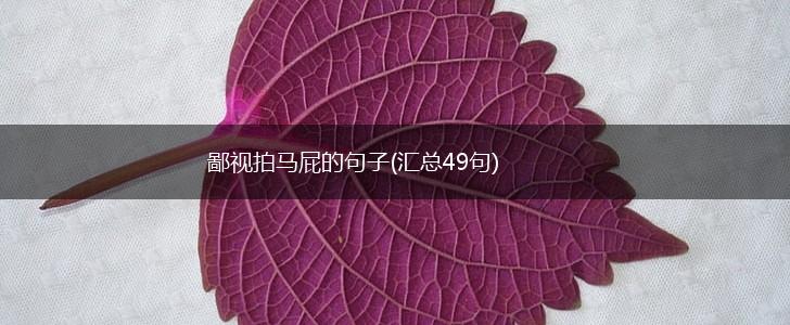 鄙视拍马屁的句子(汇总49句),第1张
