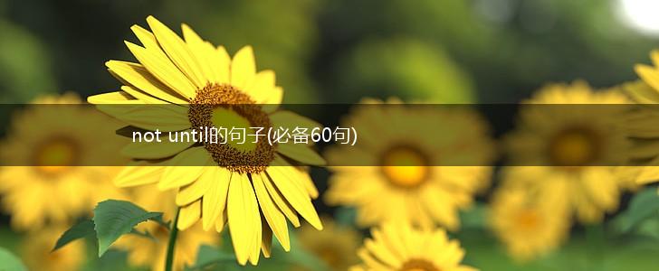 not until的句子(必备60句),第1张