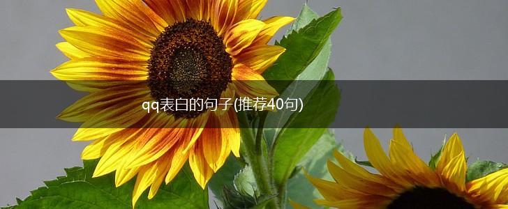 qq表白的句子(推荐40句),第1张
