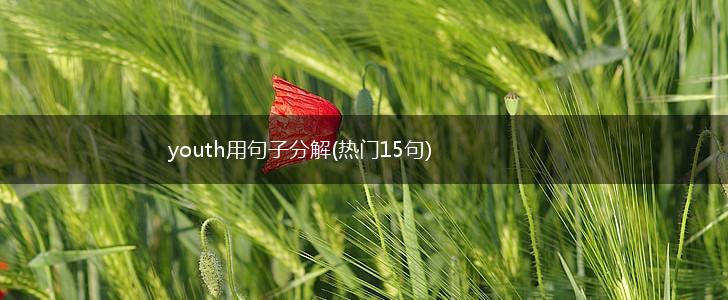 youth用句子分解(热门15句),第1张