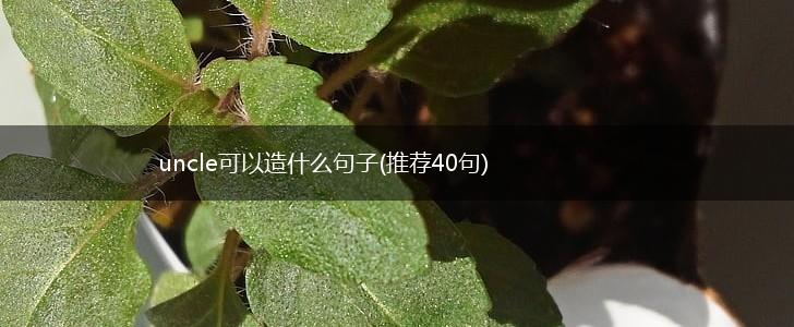 uncle可以造什么句子(推荐40句),第1张