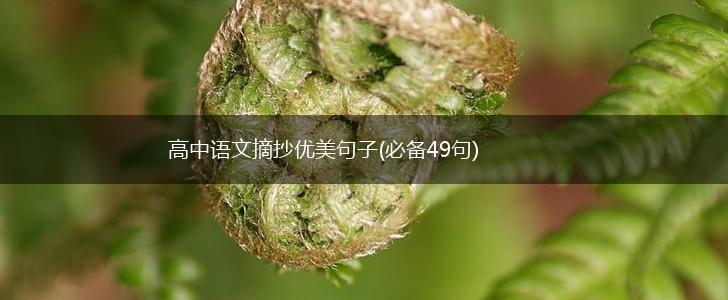 高中语文摘抄优美句子(必备49句),第1张
