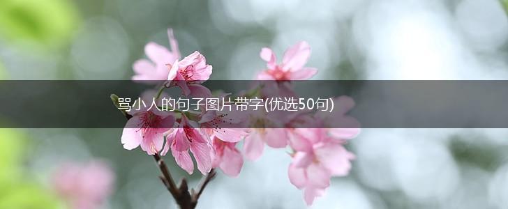 骂小人的句子图片带字(优选50句),第1张