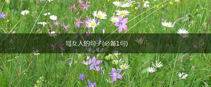骂女人的句子(必备1句),第1张